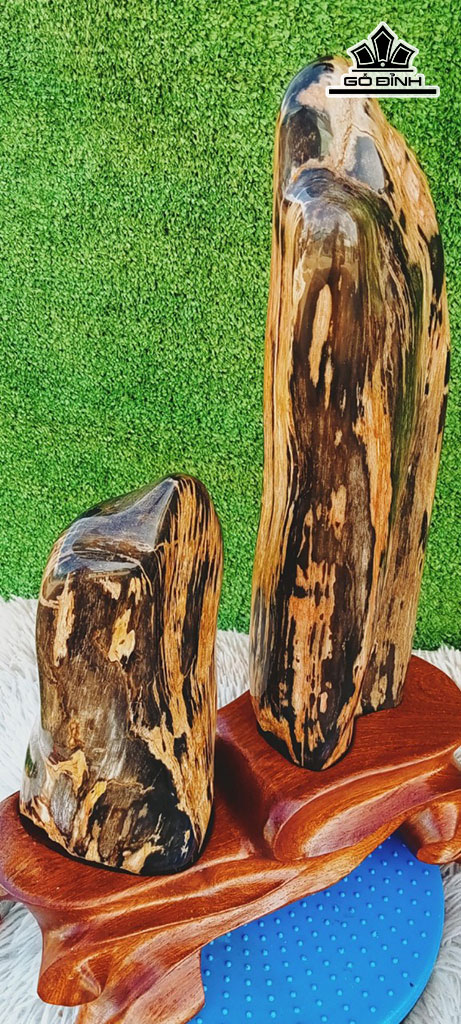 Tác Phẩm Gỗ Hóa Thạch Cao 47 Ngang 23 (cm) 8,2kg