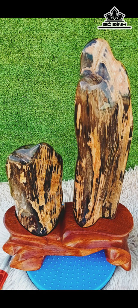 Tác Phẩm Gỗ Hóa Thạch Cao 47 Ngang 23 (cm) 8,2kg