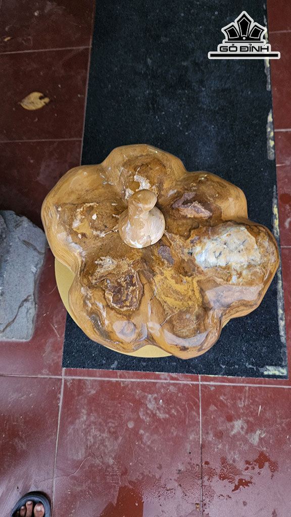 Trái Bí Đá Canxedon Ngang 36 (cm) 12,5kg