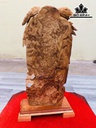 tuong-phu-the-vien-man-go-nu-ngoc-am-cao-37-ngang-16-sau-6-cm-419407