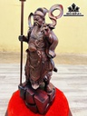 tuong-quan-cong-chong-dao-go-trac-cao-60-ngang-22-sau-17-cm-419410