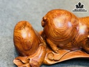 tuong-heo-go-cam-cao-17-ngang-40-sau-18-cm-419560