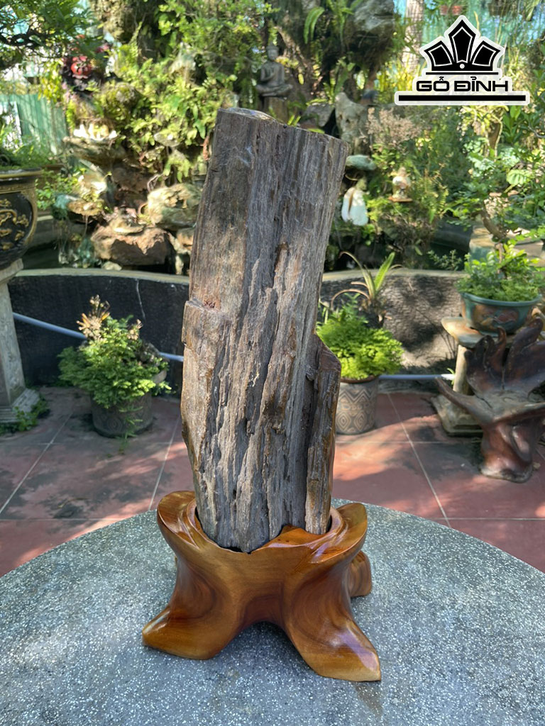 Tác Phẩm Gỗ Hóa Thạch Cao 58 (cm) 14,5kg