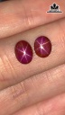 Cặp Đá Ruby Sao Yên Bái 3,2cts