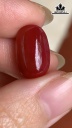 Viên Đá Ruby Yên Bái 10,65cts