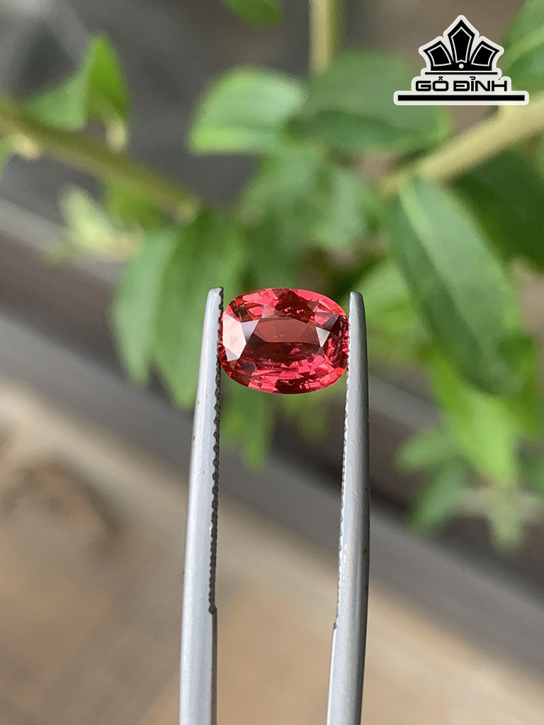 Viên Đá Sapphire Cao 8,3 Ngang 6,5 Sâu 3,5 (mm) 1,55cts