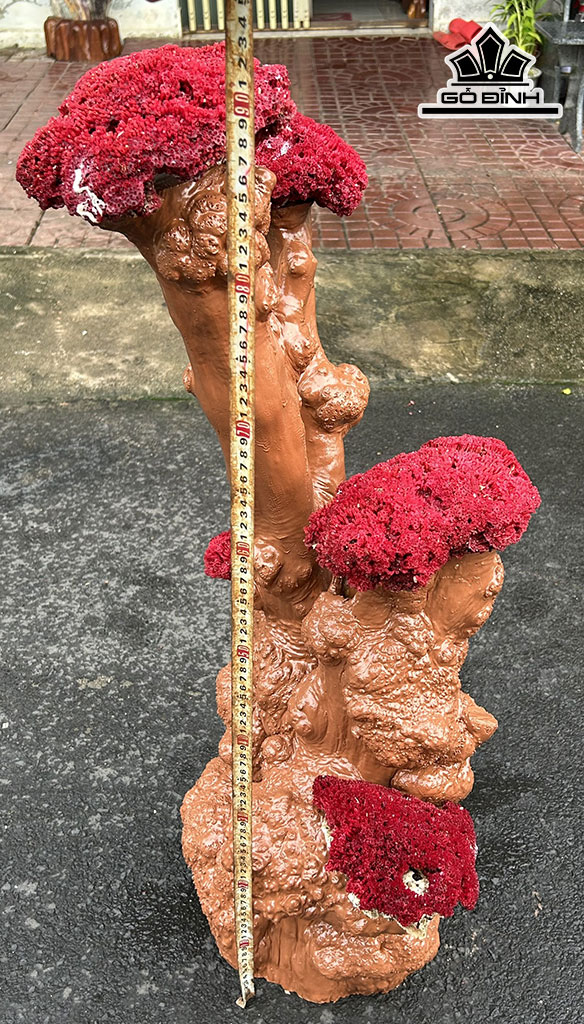Tác Phẩm Cây San Hô Đỏ Mào Gà