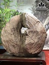 Tượng Nhất Tâm Bái Phật Gỗ Trắc Cao 29 Ngang 24 Sâu 12 (cm)