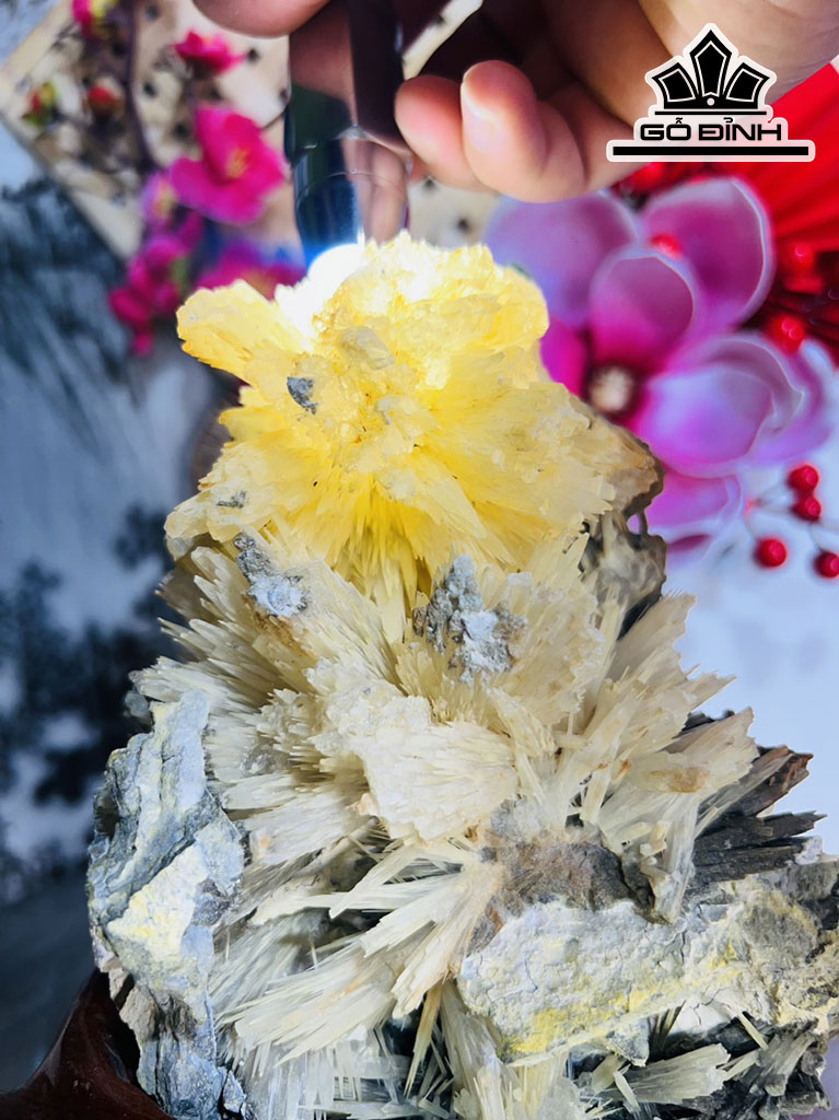 Bông Hoa Ưu Đàm Đá Trầm Tích Cao 20 Ngang 16 (cm) 1,7kg