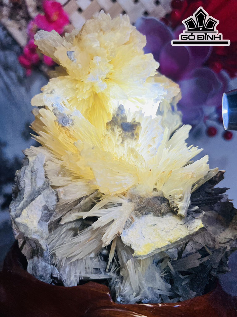 Bông Hoa Ưu Đàm Đá Trầm Tích Cao 20 Ngang 16 (cm) 1,7kg