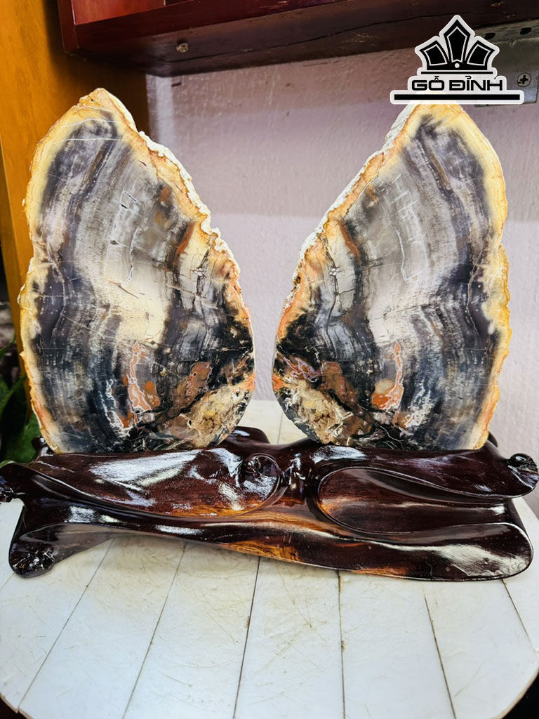 Tác Phẩm Bướm Xinh Gỗ Hóa Thạch Cao 28 Ngang 30 (cm) 3,6kg