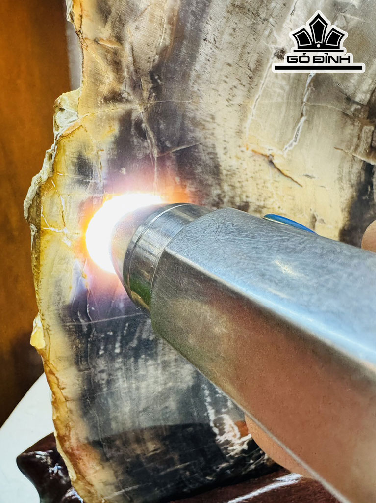 Tác Phẩm Bướm Xinh Gỗ Hóa Thạch Cao 28 Ngang 30 (cm) 3,6kg