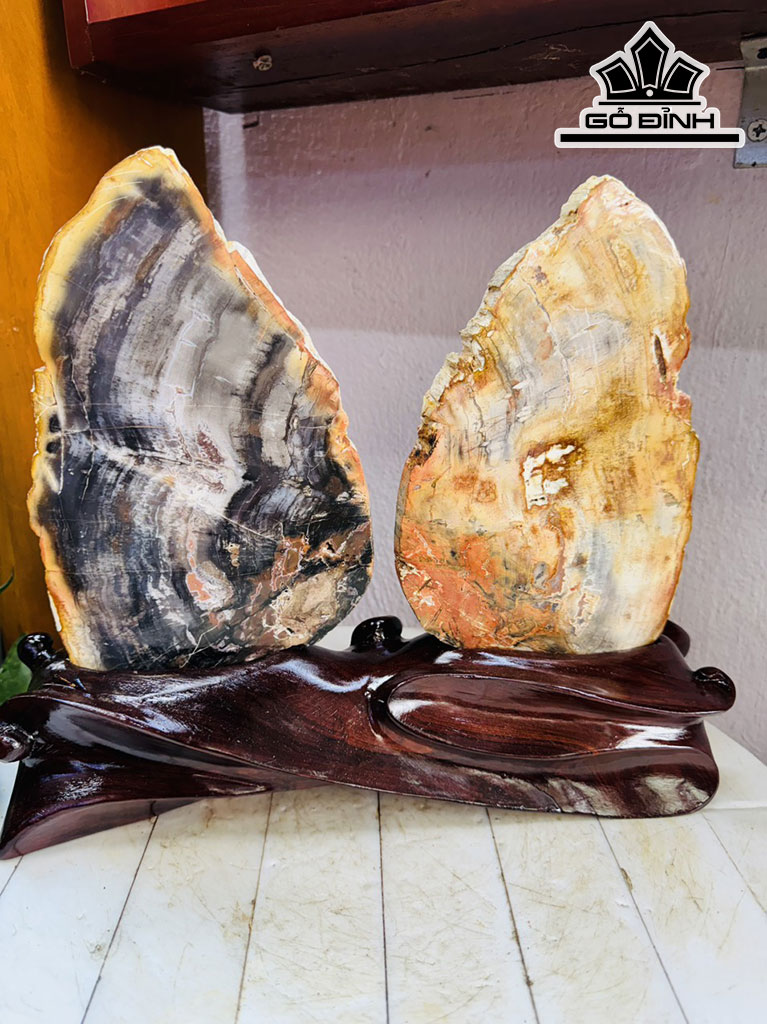 Tác Phẩm Bướm Xinh Gỗ Hóa Thạch Cao 28 Ngang 30 (cm) 3,6kg