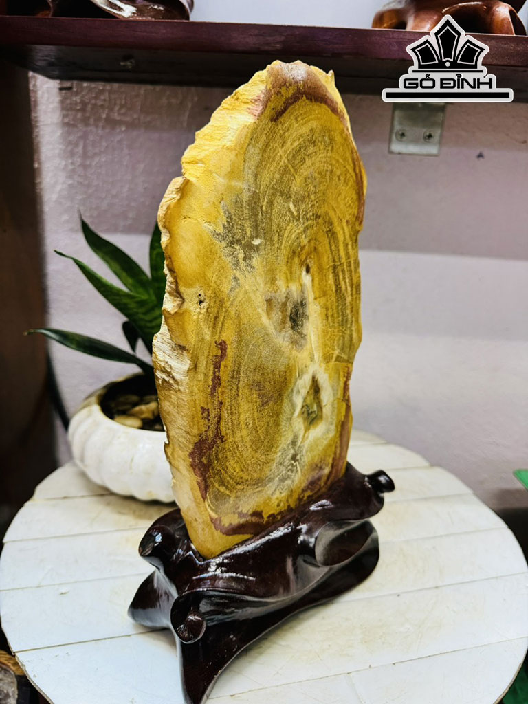Tác Phẩm Gỗ Hóa Thạch Cao 22 Ngang 15 (cm) 2,3kg