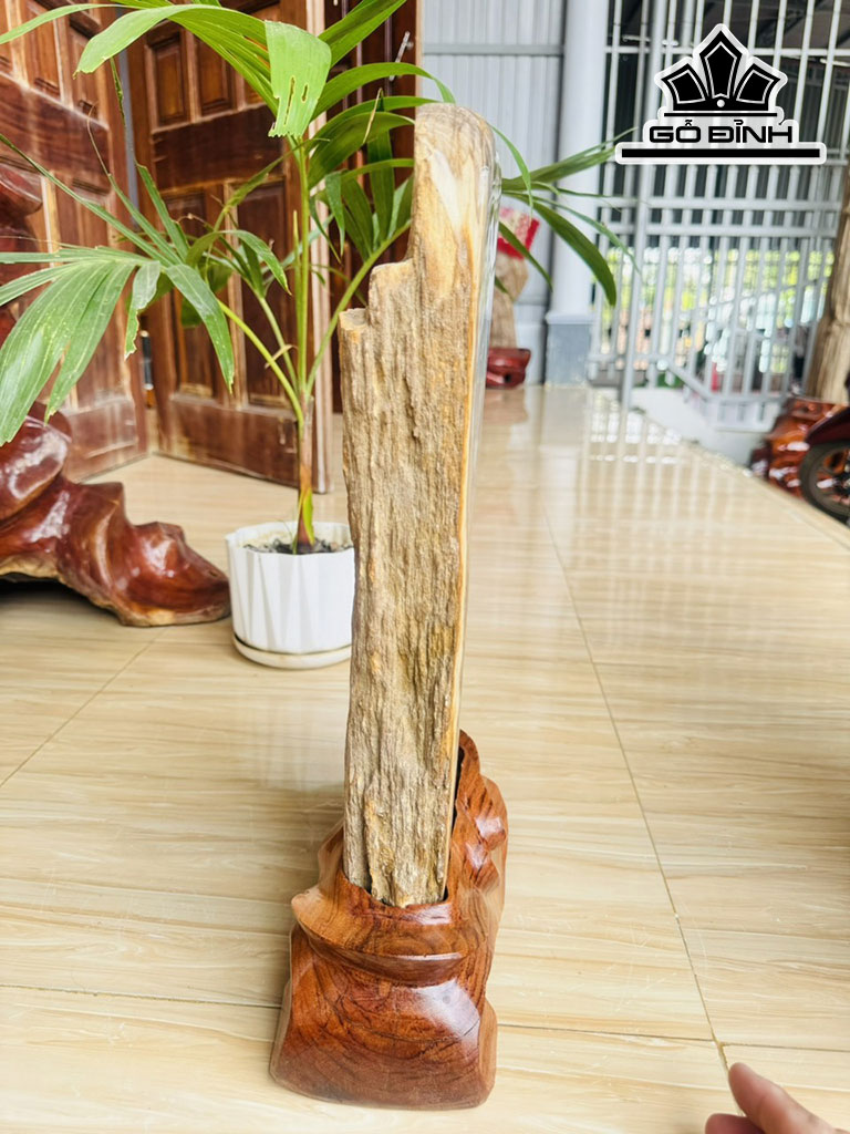 Tác Phẩm Gỗ Hóa Thạch Cao 45 Ngang 15 (cm) 7kg