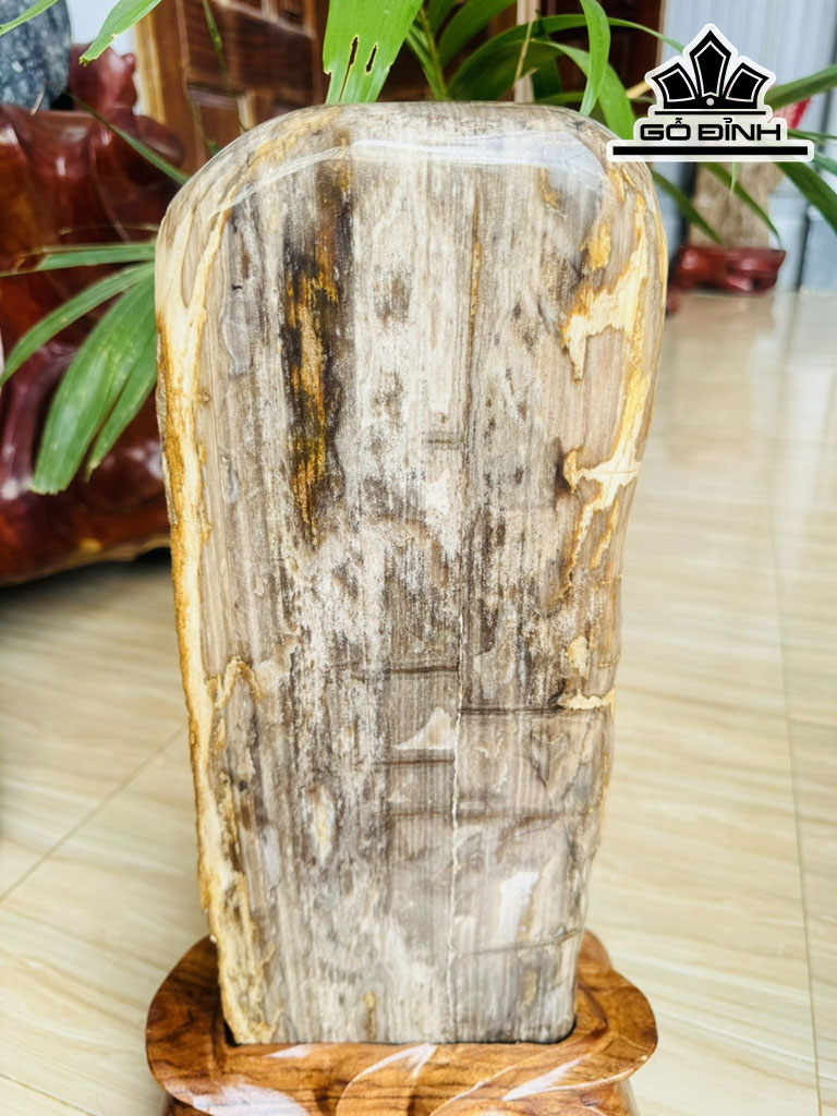 Tác Phẩm Gỗ Hóa Thạch Cao 45 Ngang 15 (cm) 7kg