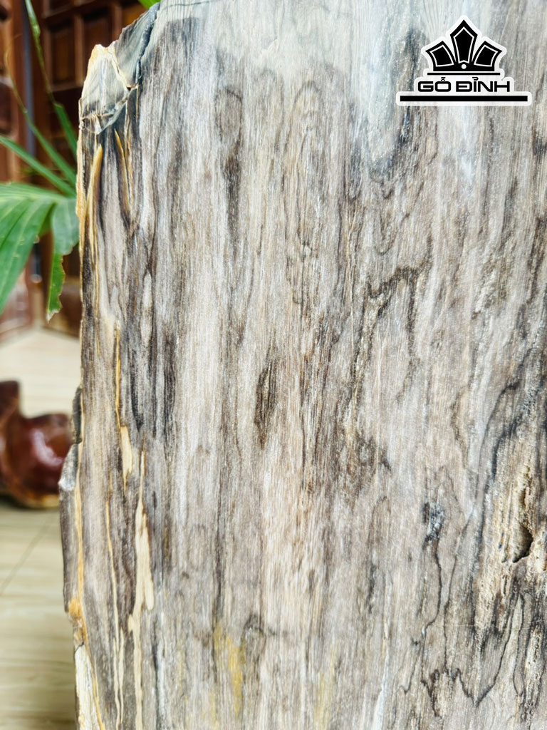 Tác Phẩm Gỗ Hóa Thạch Cao 58 Ngang 28 (cm) 14kg