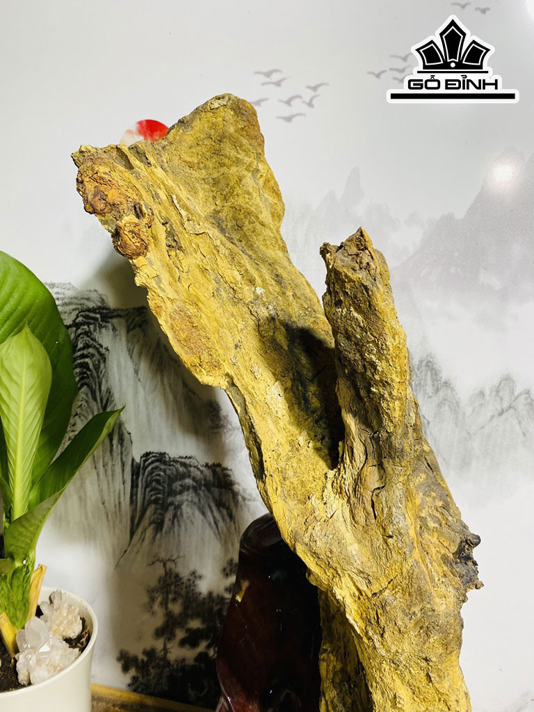 Tác Phẩm Gỗ Hóa Thạch Cao 85 Ngang 60 (cm) 24,1kg