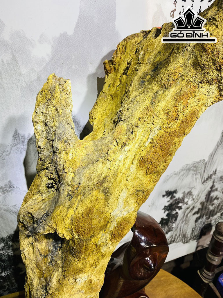 Tác Phẩm Gỗ Hóa Thạch Cao 85 Ngang 60 (cm) 24,1kg
