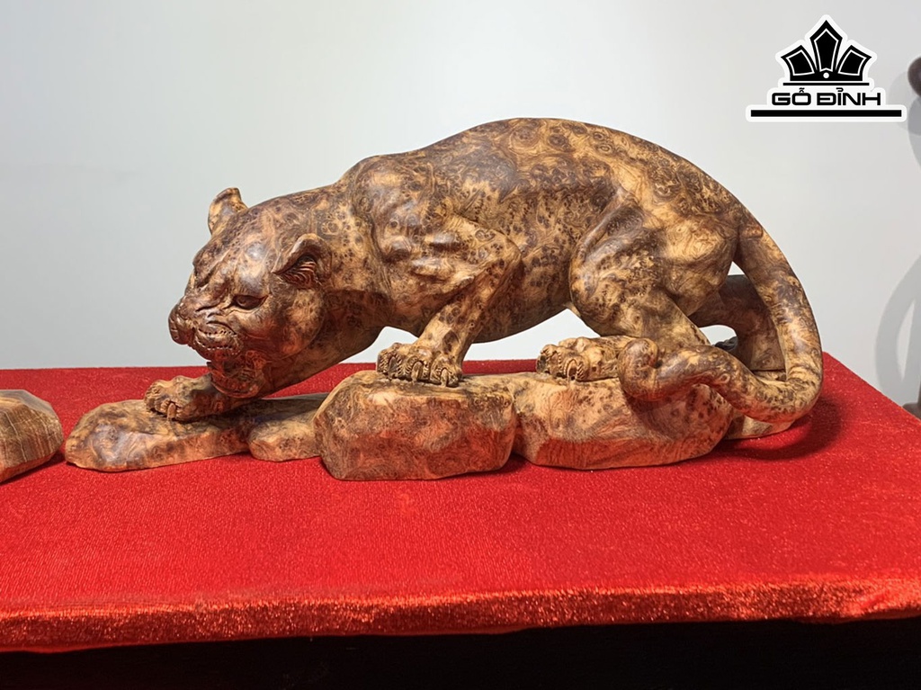 doi-bao-go-nu-ngoc-am-cao-12-ngang-31-28-sau-7-9-cm-420891