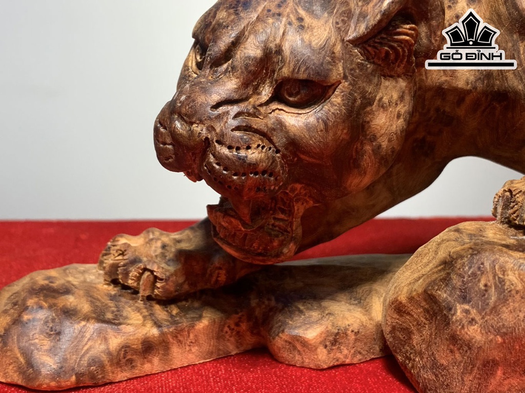 doi-bao-go-nu-ngoc-am-cao-12-ngang-31-28-sau-7-9-cm-420892