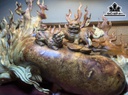 doi-nghe-go-nu-huong-cao-34-ngang-52-sau-15-cm-420897