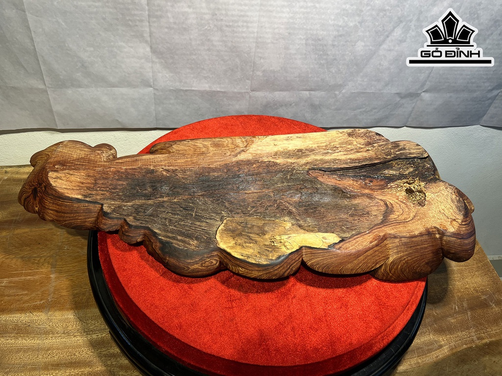 khay-tra-go-cam-cao-30-ngang-72-sau-5-cm-420902