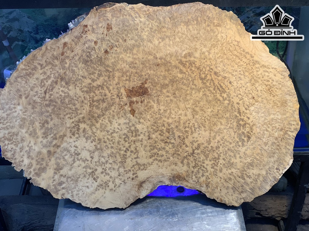 khay-tra-go-nu-ngoc-am-cao-45-ngang-70-sau-6-cm-420909