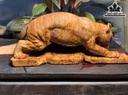 tuong-bao-san-moi-go-nu-ngoc-am-cao-125-ngang-29-sau-10-cm-420938