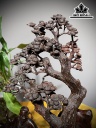 tuong-thi-tien-ly-bach-go-nu-trac-cao-34-ngang-23-sau-125-cm-421466