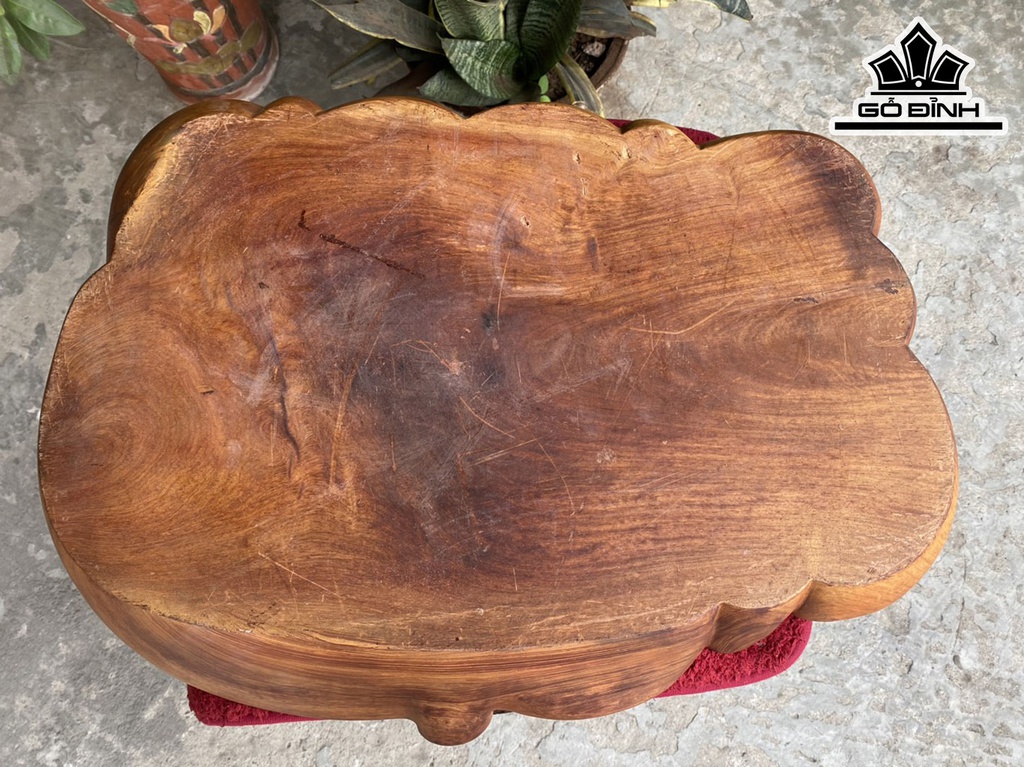 khay-tra-go-huong-dai-56-rong-41-day-7-cm-421597