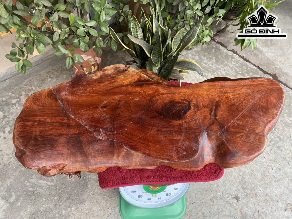khay-tra-long-quy-go-huong-dai-90-rong-39-cao-22-cm-421602