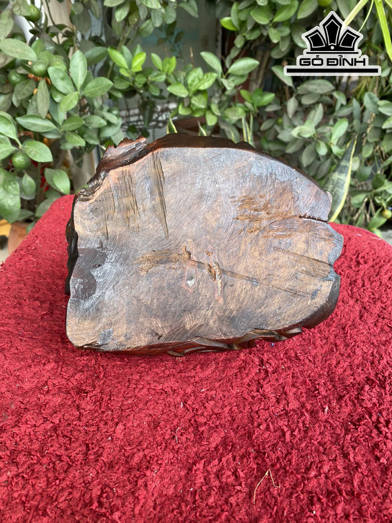 tuong-long-quy-go-trac-cao-12-ngang-20-sau-16-cm-421647