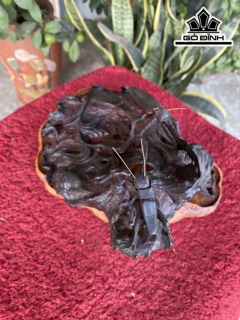 xong-tram-go-trac-ngang-26-cao-20-sau-19-cm-421705