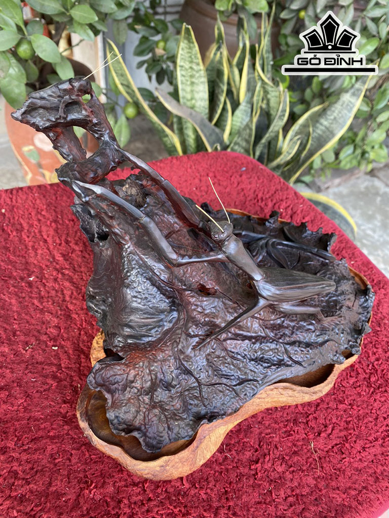 xong-tram-go-trac-ngang-26-cao-20-sau-19-cm-421706