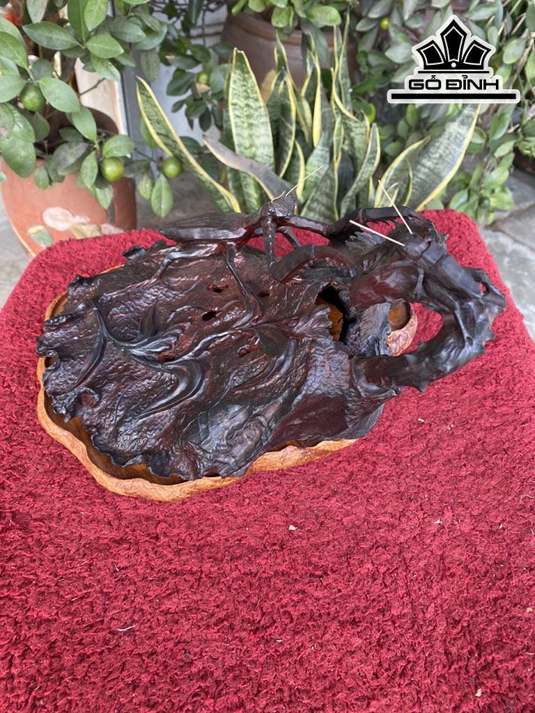 xong-tram-go-trac-ngang-26-cao-20-sau-19-cm-421707