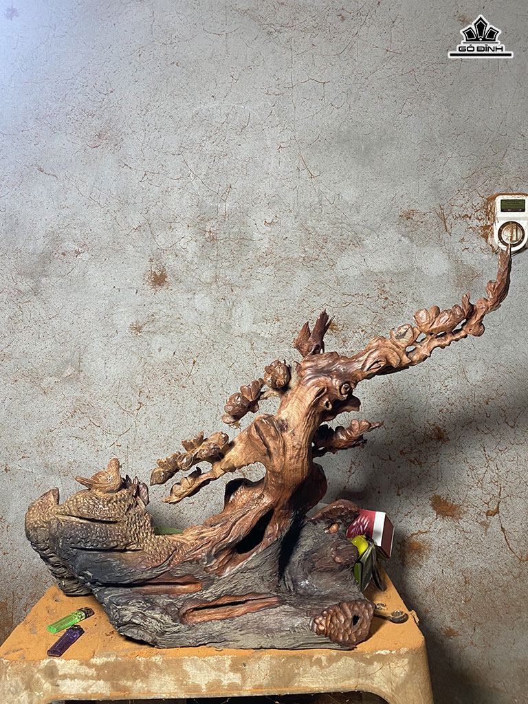 cay-mai-go-huong-cao-56-ngang-85-sau-32-cm-421721