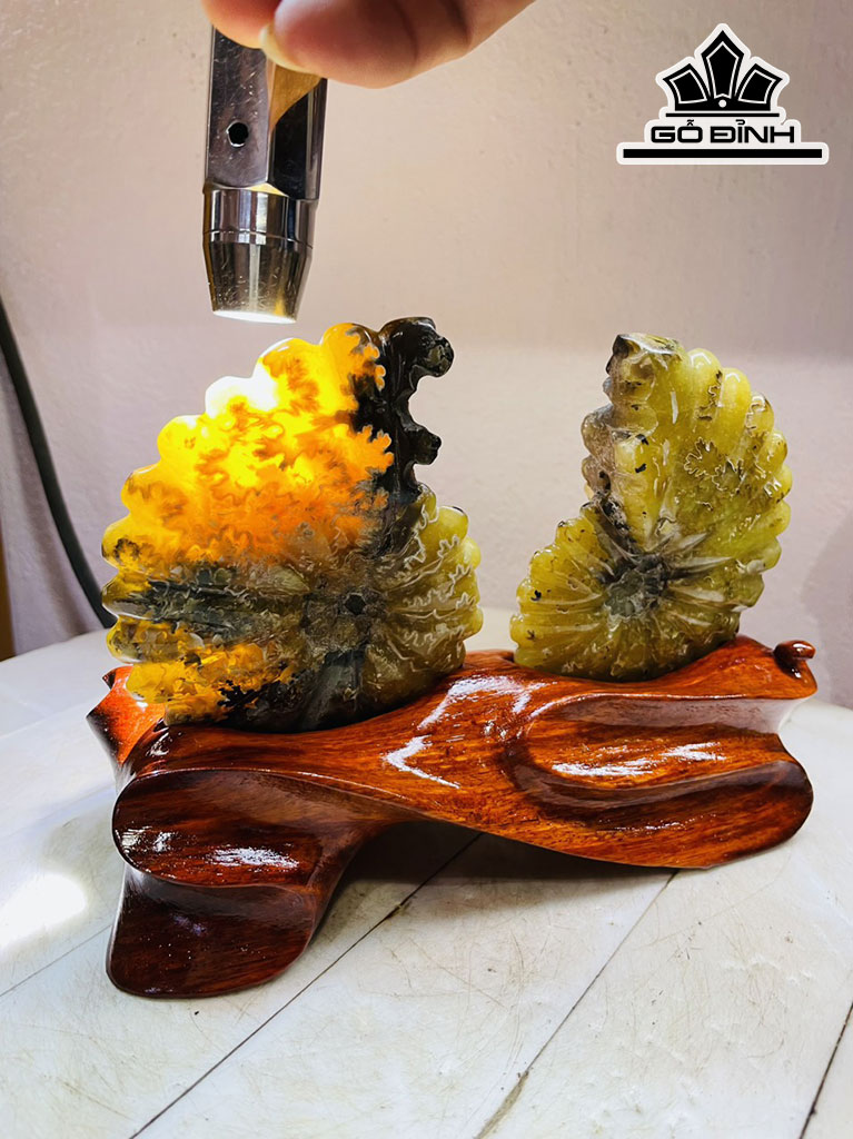 Cặp Ốc Anh Vũ Hóa Ngọc Cao 15 Ngang 19 (cm) 1kg