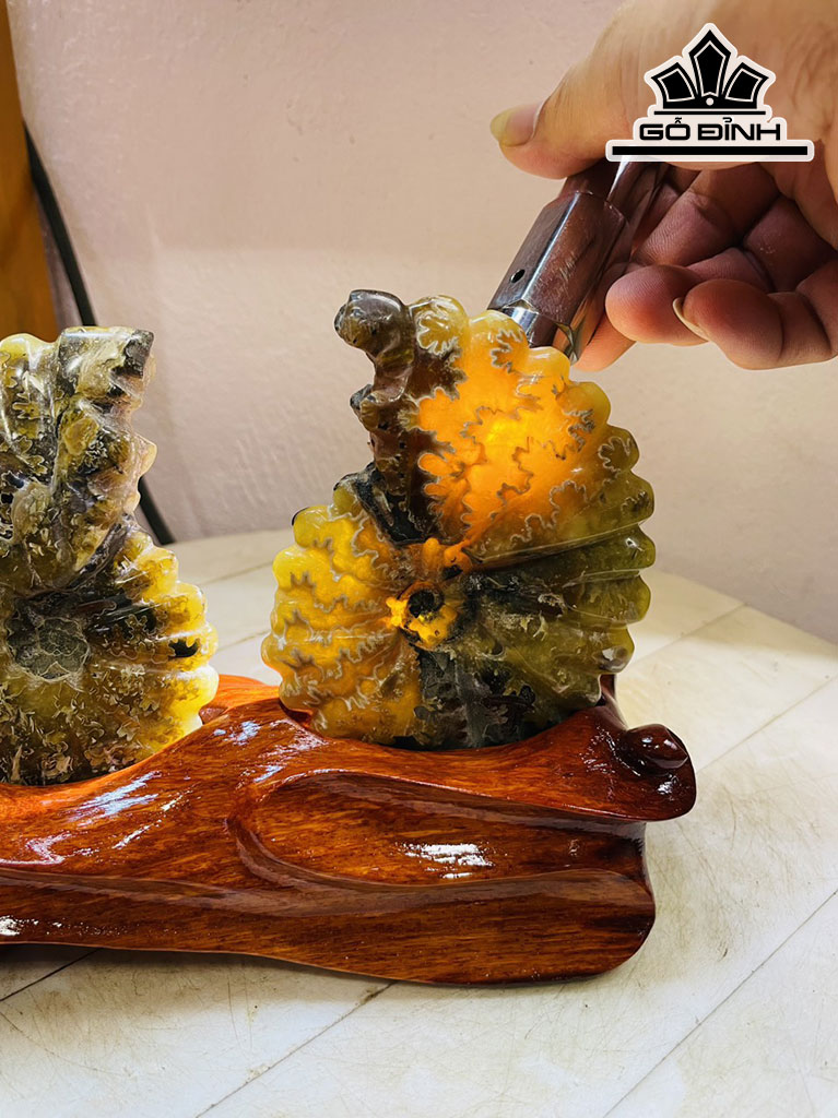 Cặp Ốc Anh Vũ Hóa Ngọc Cao 15 Ngang 19 (cm) 1kg