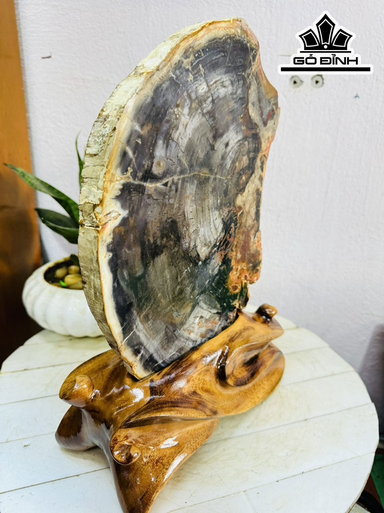 Tác Phẩm Gỗ Hóa Ngọc Cao 34 Ngang 20 (cm) 3,3kg