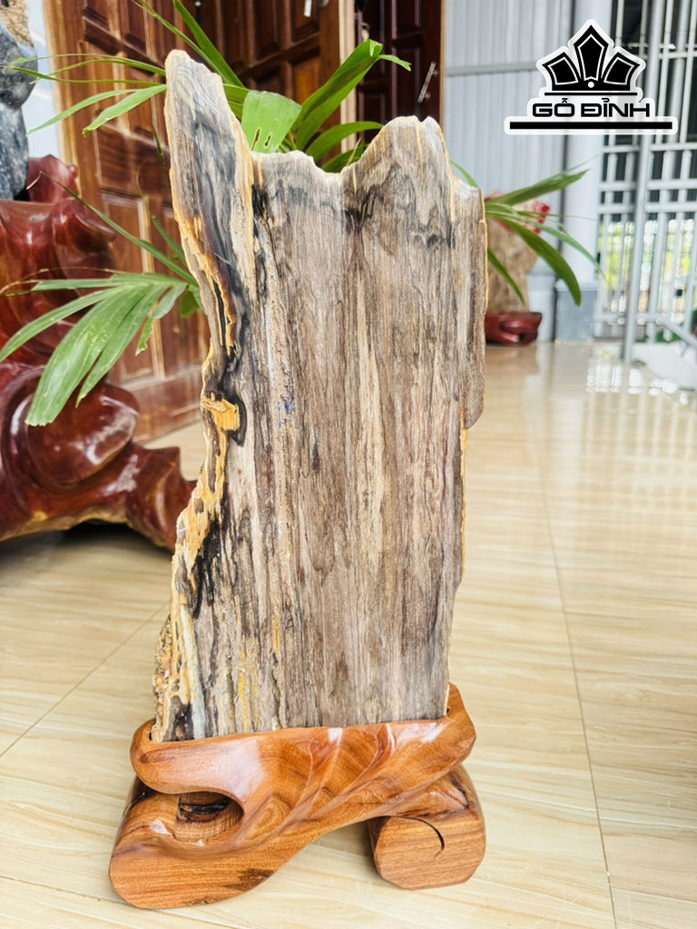 Tác Phẩm Gỗ Hóa Thạch Cao 52 Ngang 20 (cm) 5,7kg