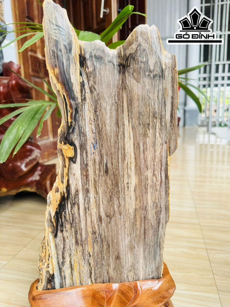 Tác Phẩm Gỗ Hóa Thạch Cao 52 Ngang 20 (cm) 5,7kg