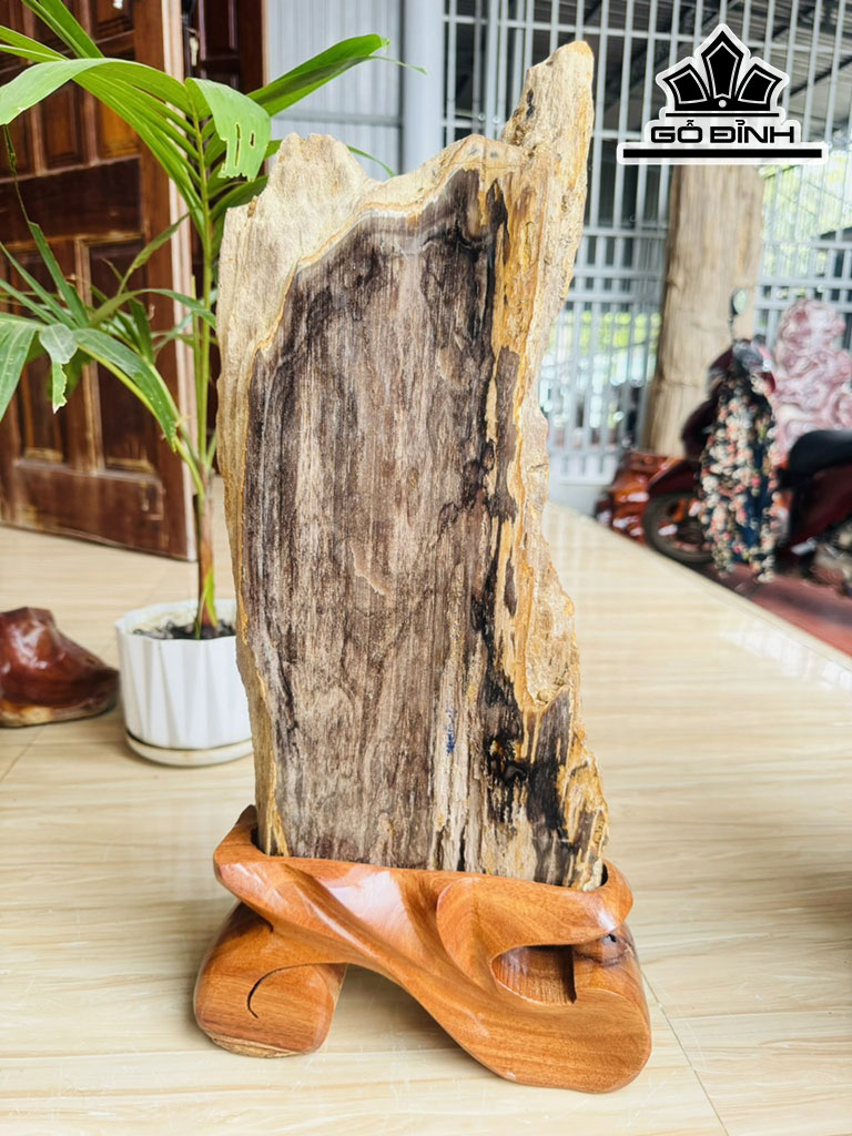 Tác Phẩm Gỗ Hóa Thạch Cao 52 Ngang 20 (cm) 5,7kg