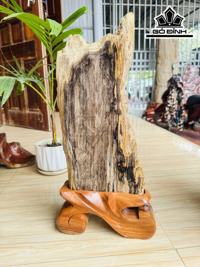 Tác Phẩm Gỗ Hóa Thạch Cao 52 Ngang 20 (cm) 5,7kg