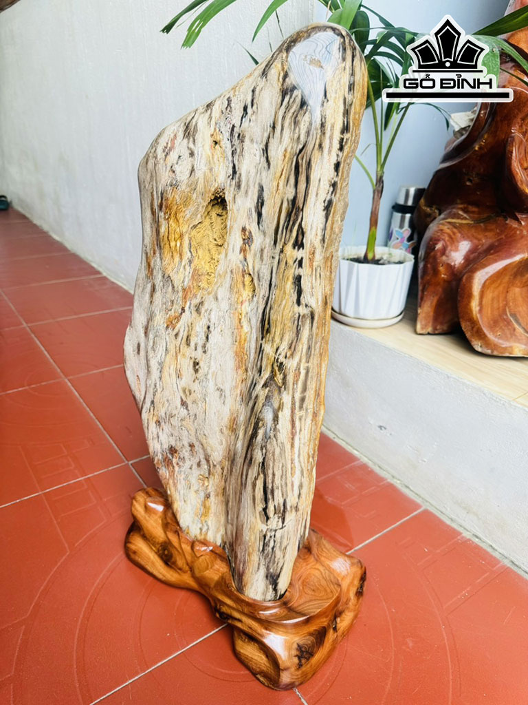 Tác Phẩm Gỗ Hóa Thạch Cao 72 Ngang 27 (cm) 39kg