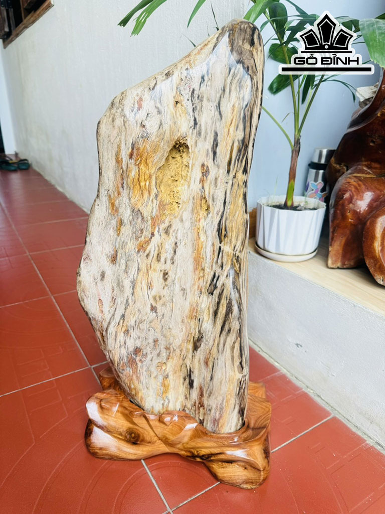 Tác Phẩm Gỗ Hóa Thạch Cao 72 Ngang 27 (cm) 39kg