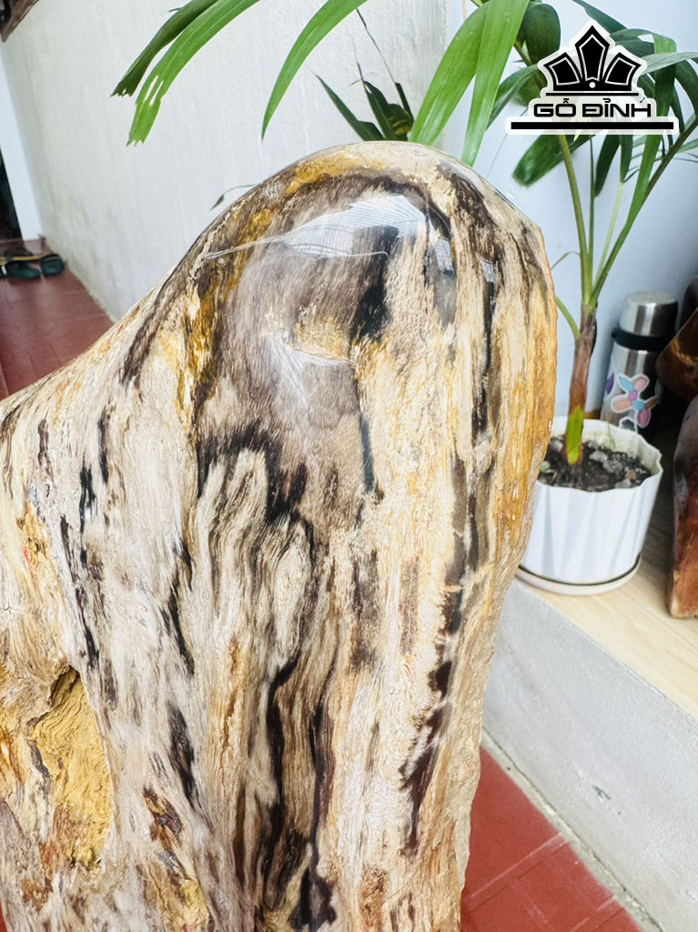 Tác Phẩm Gỗ Hóa Thạch Cao 72 Ngang 27 (cm) 39kg