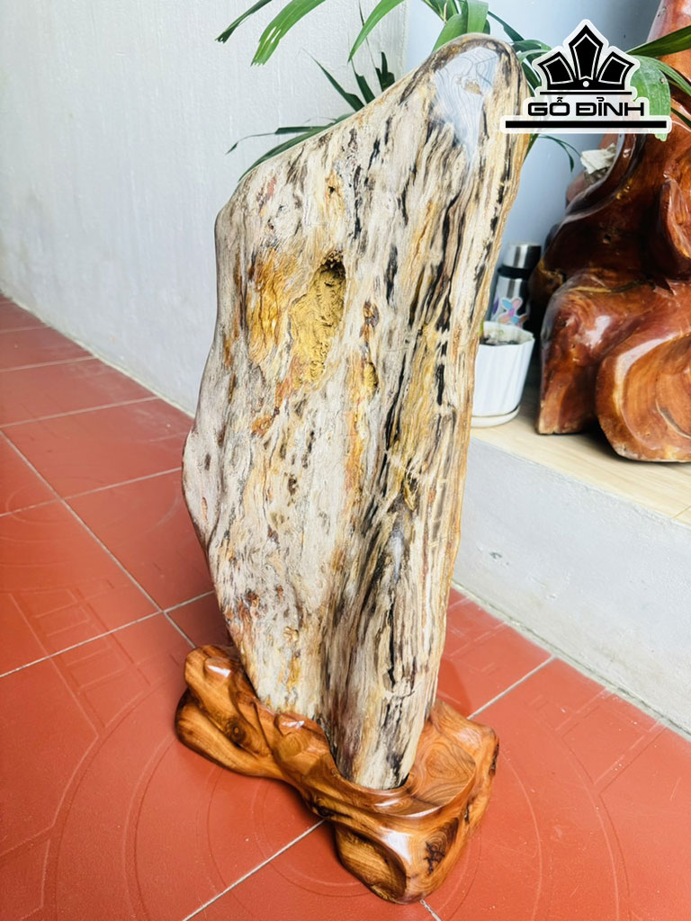 Tác Phẩm Gỗ Hóa Thạch Cao 72 Ngang 27 (cm) 39kg