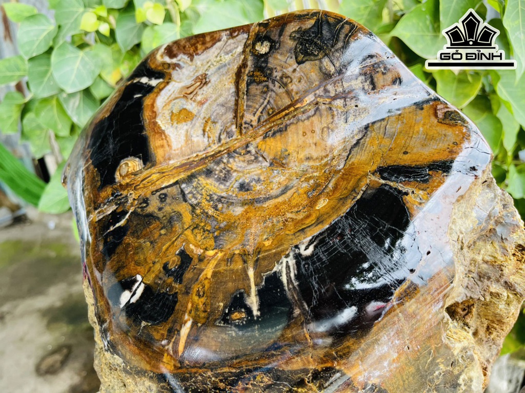 Tác Phẩm Gỗ Hóa Ngọc Cao 40 Ngang 35 (cm) 27,5kg
