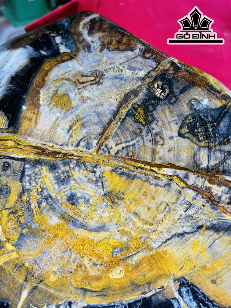 Tác Phẩm Gỗ Hóa Ngọc Cao 40 Ngang 35 (cm) 27,5kg